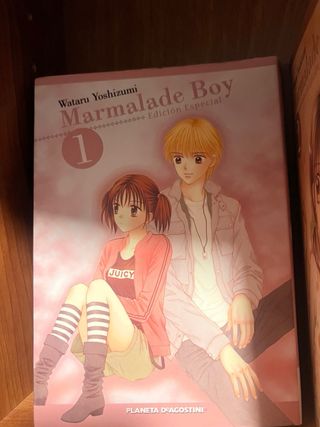 Marmalade Boy Wataru Yoshizumi