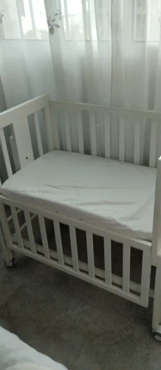 Minicuna Colecho Allegra Bolin Bolon