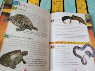 Lee cada día 365 curiosidades de animales libro