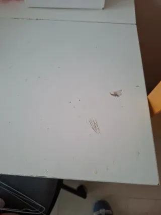 Tocador blanco con cajón ynespejo