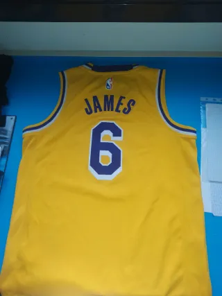 Camiseta NBA LeBron James #6 Lakers