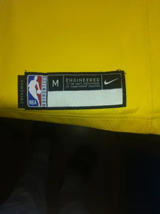 Camiseta NBA LeBron James #6 Lakers