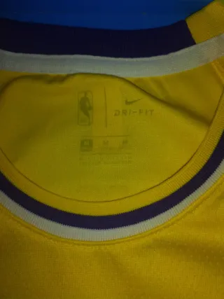 Camiseta NBA LeBron James #6 Lakers