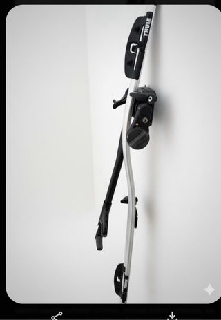 Portabicicletas Techo THULE