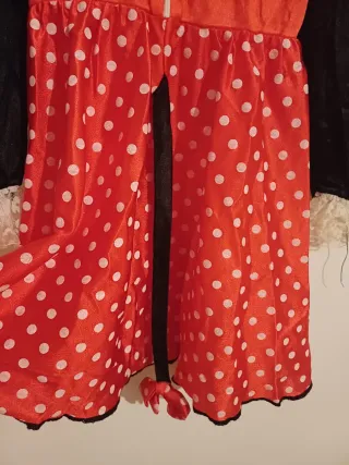 Vestito Carnevale Topina