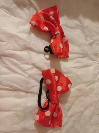 Vestito Carnevale Topina