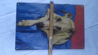 Targa metallo levriero