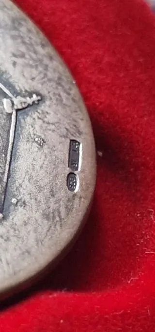 Medalla de Plata Musei Vaticani