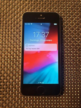 iPhone 5s Nero 16gb