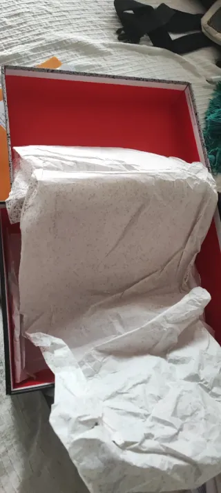 Jordan 4 Bred Reimagined