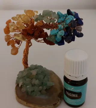 Vendo óleo essencial Fragonia 5ml da YL