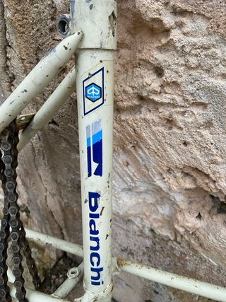 Cuadro Bicicleta Clásica Bianchi
