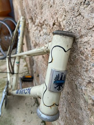 Cuadro Bicicleta Clásica Bianchi