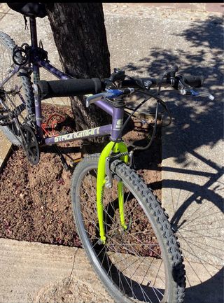 Bicicleta de Montaña