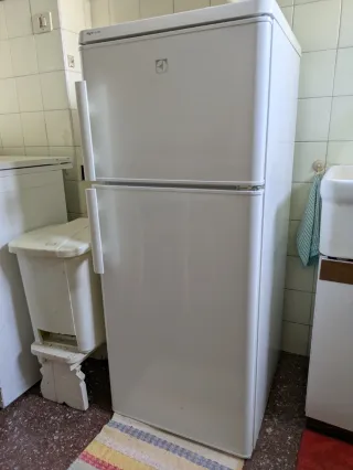 Frigorifero Electrolux RJ1800 AOW A+