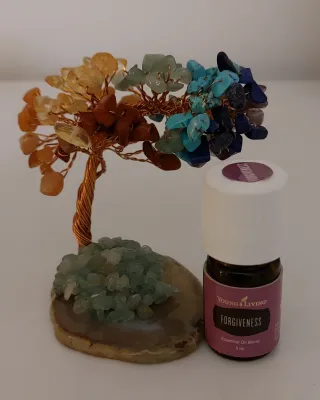 Vendo óleo essencial Forgiveness 5ml da YL