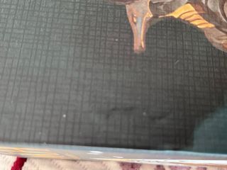 Ankh Dioses de Egipto en INGLÉS