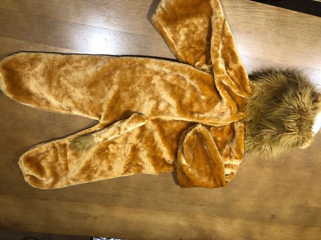 Disfraz de león para niños de 6-7 años