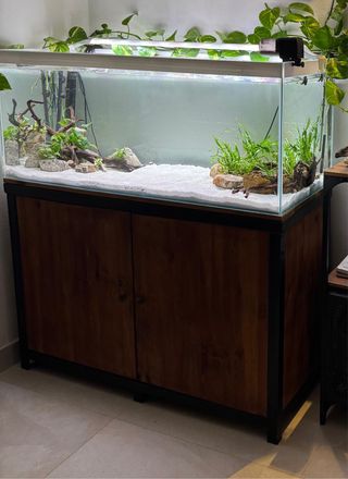 Acuario 300l y filtros