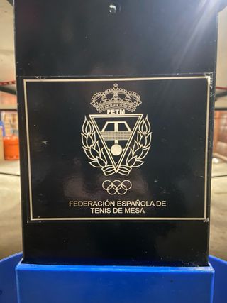 Mesa Ping Pong Plegable Azul