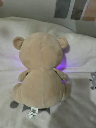 Oso proyector de peluche