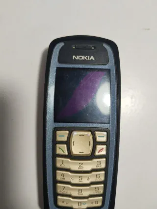 Teléfono Nokia Azul y Gris