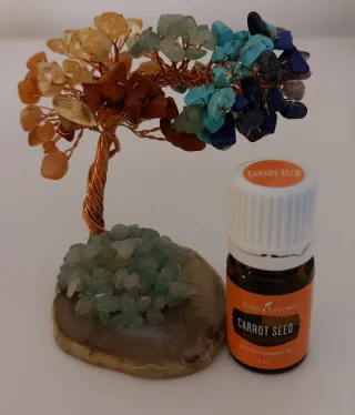 Vendo óleo essencial Carrot Seed 5ml da YL