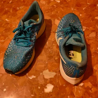 Nike Pegasus 35 Azul/Blanco