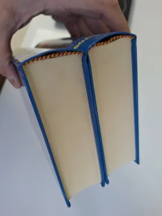 Diccionario de los Santos (2 vols)