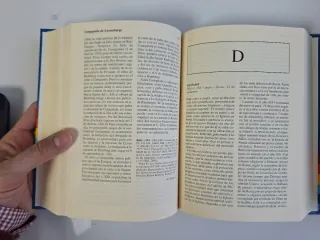 Diccionario de los Santos (2 vols)