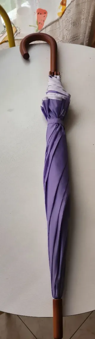 Paraguas Morado Kolestint