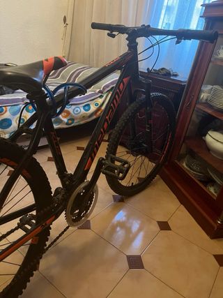 Bicicleta megamo