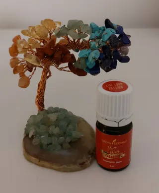 Vendo óleo essencial Live Your Passion 5ml da YL