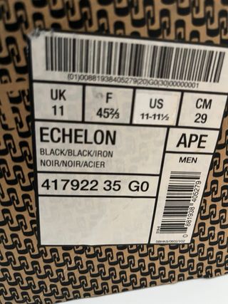 Botas Snowboard Salomon Echelon Talla 45 2/3, 29cm