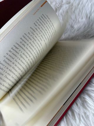 El Cantar de Mío Cid, de Vicente Muñoz Puelles.