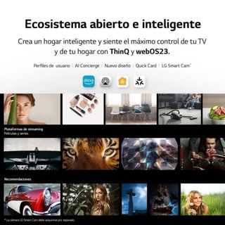 TV LG 55 LED 4K HDR10