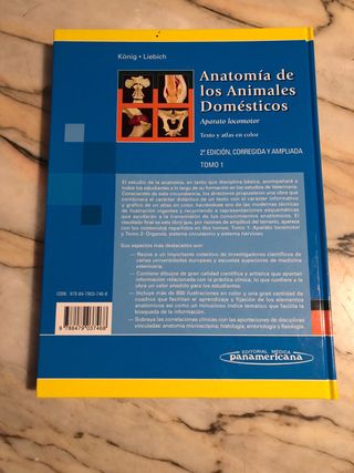 Anatomía de los Animales Domésticos: Aparato Lo...