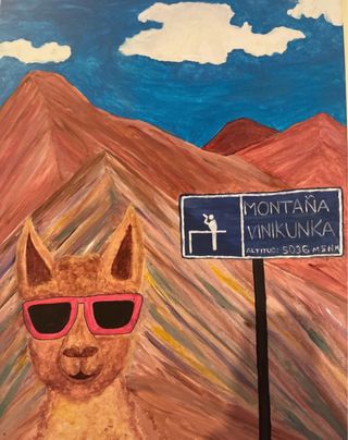 Quadro Montagna Arcobaleno Llama Occhiali