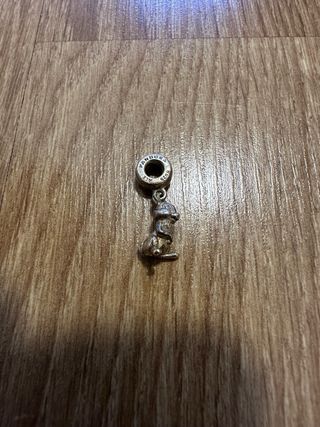 Charms Pandora plata