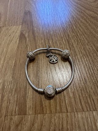 Charms Pandora plata