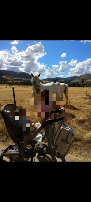 Jané Rider Cochecito Bebé 3 Piezas Carro Maxi cosi