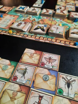 Juego de mesa Insecta: The Ladies of Entomology