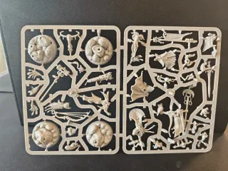 Myari Purifiers Warhammer