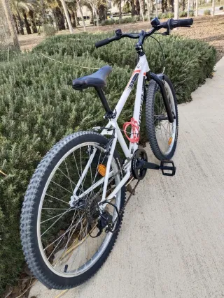 Bicicleta montaña infantil 9-12 años
