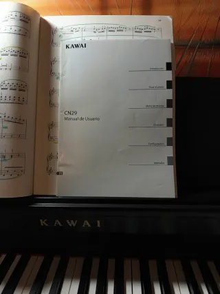 Piano Digital Kawai CN29 color Palisandro