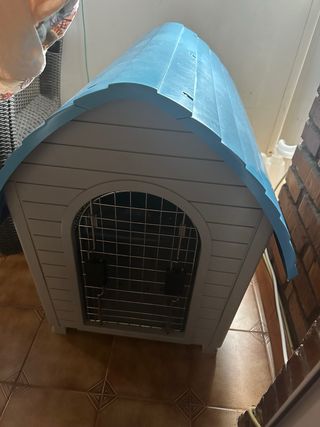 Caseta para perro azul y gris