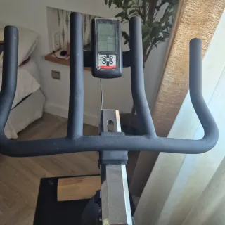 Bicicleta Estática BH Spada II