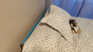 Cama nido con 2 camas y 2 colchones