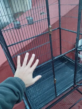Jaula Voladera para Pájaros Negra