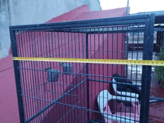 Jaula Voladera para Pájaros Negra